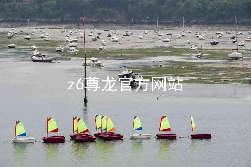 z6尊龙官方网站