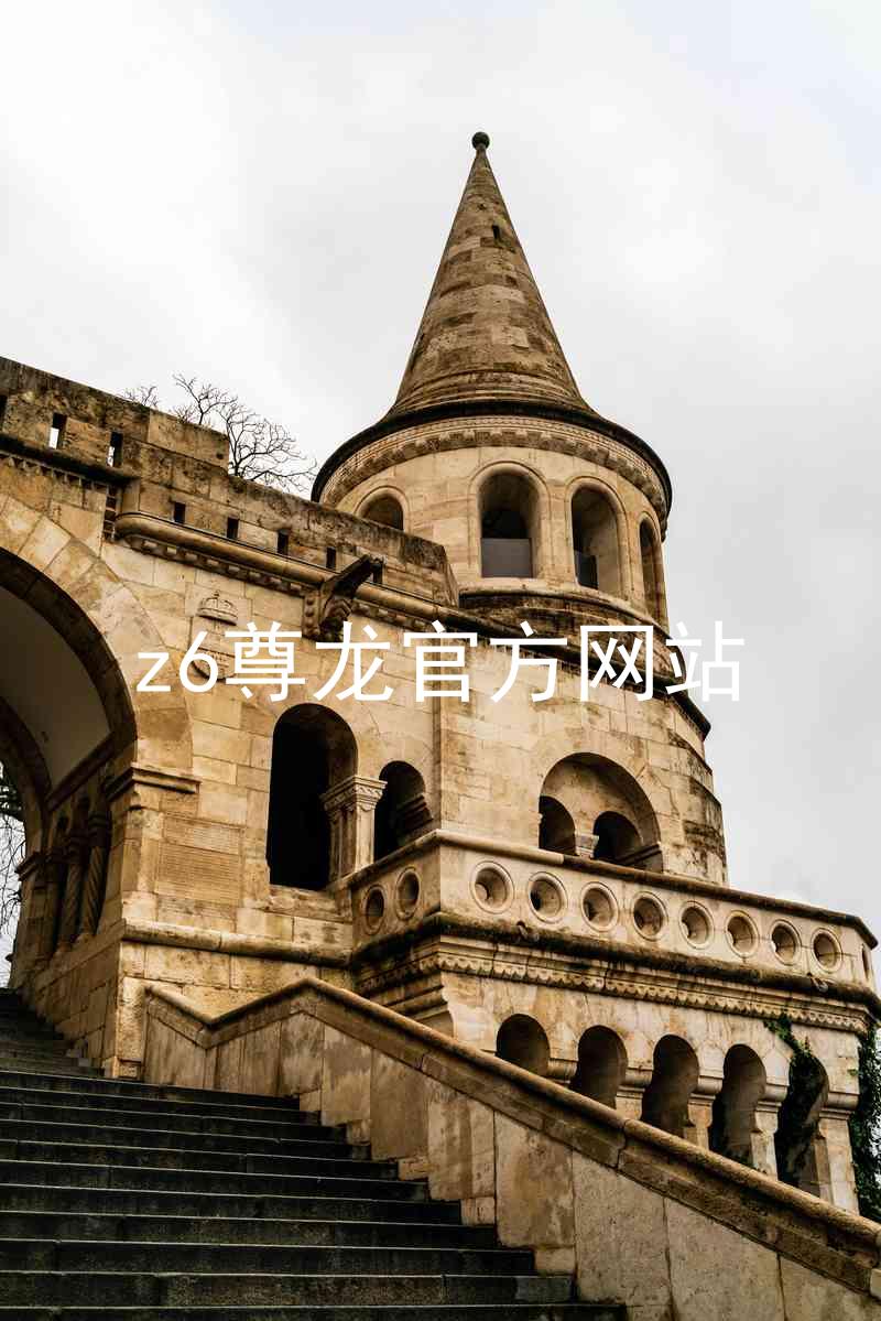 z6尊龙官方网站